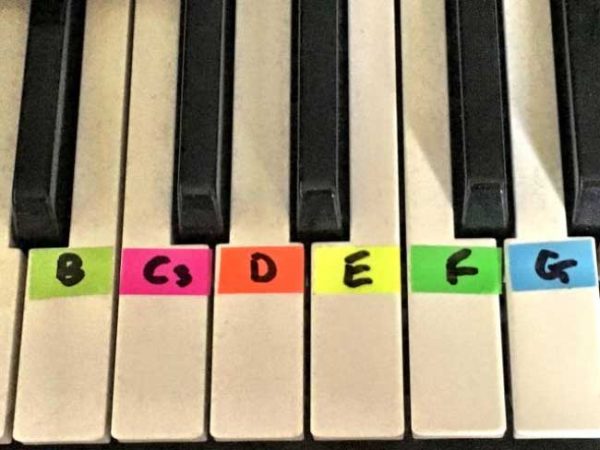 Nhớ vị trí các phím trắng và phím đen sẽ giúp bạn dễ dàng học đàn piano