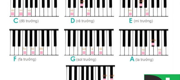 Để đệm hát tốt thì chúng ta cần biết cách xác định hợp âm của một bài hát