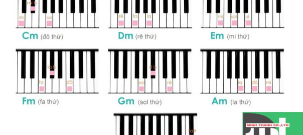 Tự học các thế bấm hợp âm đàn guitar căn bản