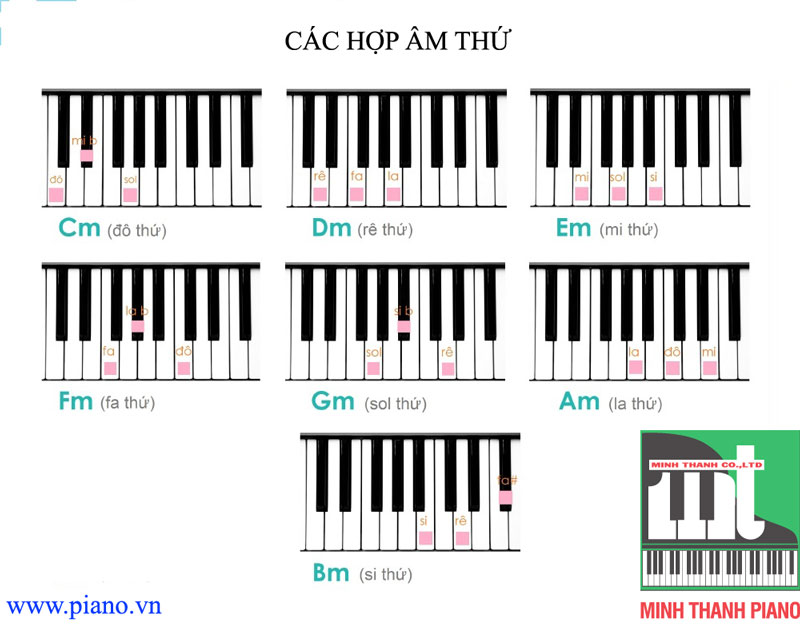 Tự học các thế bấm hợp âm đàn guitar căn bản