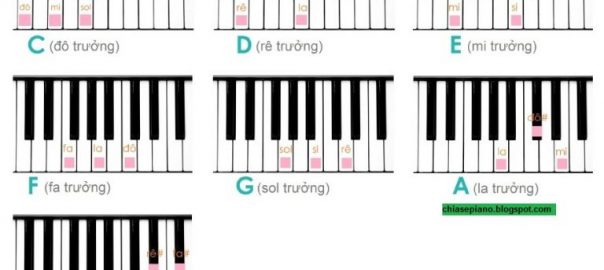 Nắm được kỹ năng học đàn piano nâng cao sẽ giúp bạn tập luyện tốt hơn