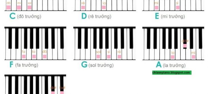 Nắm được kỹ năng học đàn piano nâng cao sẽ giúp bạn tập luyện tốt hơn