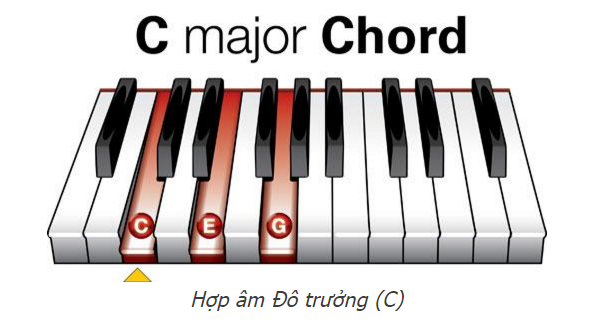 14 hợp âm cơ bản trên đàn piano chuẩn nhất