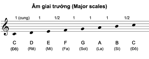 Cấu tạo âm giai đô trưởng