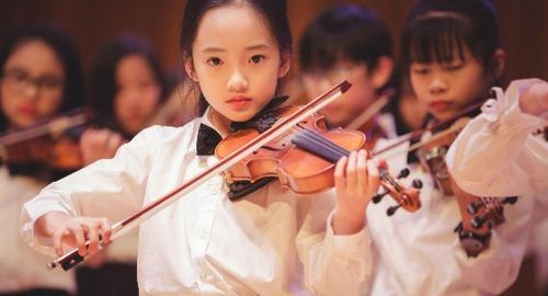 Học đàn violin – những thông tin cơ bản dành cho người mới bắt đầu