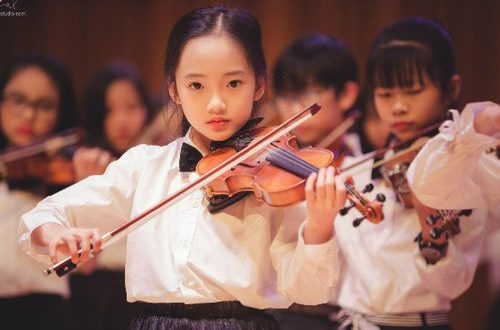Học đàn violin – những thông tin cơ bản dành cho người mới bắt đầu